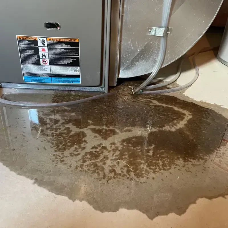 Appliance Leak Cleanup in Chase City, VA